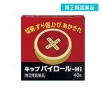 第２類医薬品 キップパイロール-Hi 40g (缶) 傷薬 軟膏剤 塗り薬 やけど 火傷 切り傷 擦り傷 ひび割れ あかぎれ 市販 (1個)