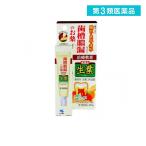 生葉口内塗薬 20g 治療軟膏 塗り薬 歯槽膿漏 歯肉炎 歯茎の腫れ 出血 痛み 口内炎 市販 しょうよう (1個)  第３類医薬品