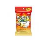 2980円以上で注文可能  ホッカイロ 