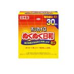 2980円以上で注文可能  ホッカイロ 