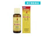 2980円以上で注文可能  第２類医薬品キンカン 120mL (1個)