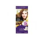 2980 иен и больше . заказ возможность салон do Pro пена. краситель для волос * extra Ricci белый для волос 2B яркий бежевый Brown 1 комплект входить (1 шт )