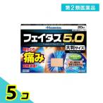 ショッピング大判 第２類医薬品フェイタス5.0 大判サイズ 20枚 5個セット