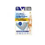  van te Lynn ko-wa восстановление - arm рукав свободно довольно большой (LL~3L) 2 листов входит ( пепел серый ) (1 шт )