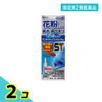 указание no. 2 вид фармацевтический препарат внутри рисовое поле производства лекарство ST пункт нос лекарство прохладный плюс ( сезон . аллергия специальный ) 10mL 2 шт. комплект 