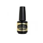 PREGEL(プリジェル) ノンワイプクリア キャンジェルEX 14g (1個)