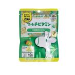 おやつにサプリZOO マルチビタミン 40粒入 (1個)