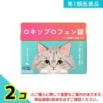第１類医薬品 医療用と同成分を配合 ロキソプロフェン ロキピタ錠 12錠 解熱鎮痛 痛み止め 頭痛 生理痛 発熱 2個セット