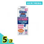 指定第2類医薬品 ラクピオンEXローション 80mL 5個セット