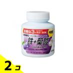 MOSTchu Abu ru металлический + фолиевая кислота 180 шарик ( чернослив тест ) 2 шт. комплект 