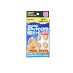 ニチバン スピール 抗菌パッド うおの目用 M 9枚入 (SPPUM) (1個)