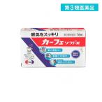 第３類医薬品カーフェソフト錠 16錠 (1個)