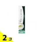 デンタパールW 薬用歯みがき粉 108g 2
