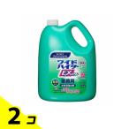 ショッピングワイドハイター ワイドハイター EXパワー 粉末タイプ 3500g 2個セット