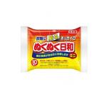 ホッカイロ ぬくぬく日和 貼るタイプ ミニ 10個入 (1個)