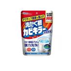 アクティブ酸素で落とす 洗たく槽カビキラー 非塩素系 粉末タイプ 250g (1個)