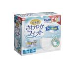 レック さわやかフィットマスク ふつうサイズ 個包装 60枚 (お徳用) (1個)