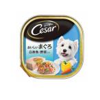 シーザー トレイ おいしいまぐろ 白身魚・野菜入り ふわふわローフタイプ 100g (1個)