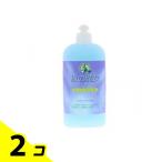 ショッピング緑の魔女 緑の魔女 トイレ用洗剤 ボトル本体 420mL 2個セット