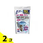 非塩素系洗濯槽クリーナー 750g 2個セット