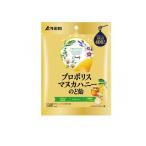 浅田飴 プロポリスマヌカハニーのど飴 60g (1個)
