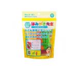 はみがき先生 キッズ用Y字フロス 30本入 (1個)