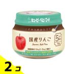 こだわりのひとさじ国産りんご 70g 2個セット