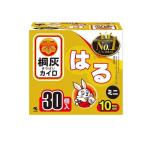 桐灰カイロ はる ミニ 10時間持続 30個入 (1個)