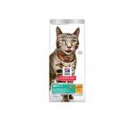 猫用ドライフード