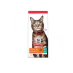 猫用ドライフード