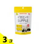 三晃商会 ビタミンCサプリ 小動物用 429 100g (お徳用) 3個セット