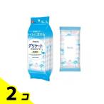 レック Femia フェムウエット デリケートウエットシート 無香料 10枚入× 3個パック 2個セット