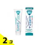 シュミテクト エナメルケア+ 薬用ハミガキ 90g 2個セット