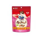 銀のスプーン 猫用おいしい顔が見られるおやつ カリカリッチシーフード 60g (1個)