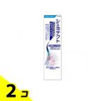 シュミテクト フューチャーホワイトケア ブライトミント 80g 2個セット