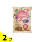 梅干しの種ペットの消臭トイレ砂 脱臭梅 使い切りタイプ 0.5L 2個セット