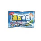 紀陽除虫菊 速攻冷却 携帯用冷却パック 1個入 (K-2001) (1個)
