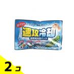 紀陽除虫菊 速攻冷却 携帯用冷却パック 1個入 (K-2001) 2個セット
