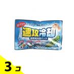 紀陽除虫菊 速攻冷却 携帯用冷却パック 1個入 (K-2001) 3個セット