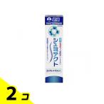 シュミテクト コンプリートワンEX 薬用ハミガキ 増量 95g (数量限定) 2個セット
