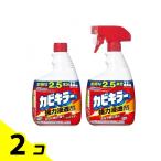 カビキラー 付け替え用 特大サイズ&本体 特大サイズ 各1000g 2個セット