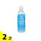 アースコロイダルシリカ100 ナノコロイドシリカ水 500mL 2個セット