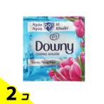 Downy アジアンダウニー サンライズフレッシュ サシェ 18mL 2個セット