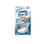 白元アース 除湿&脱臭 ノンスメル さわやかシューズ くつ用 無香タイプ 2足分 4シート入 (1個)