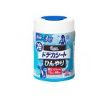 エリエール ドデカシート 超ロングシート 本体ボトル 20枚入 (1個)
