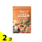 健康食品 発酵 熟成 ショウガ 万田酵素 GINGERペースト 分包 タイプ 77.5g (2.5g×31包) 2個セット