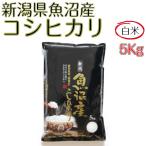 米 お米 白米 5kg コシ