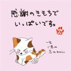 ねこ茶 ほうじ茶 ティ