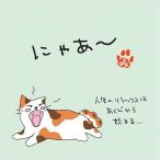 ねこ茶 ほうじ茶 ティ