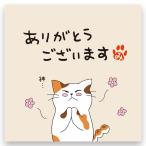 ねこ茶 深蒸し茶 ティ�